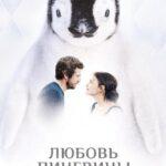 Любовь И Пингвины Постер